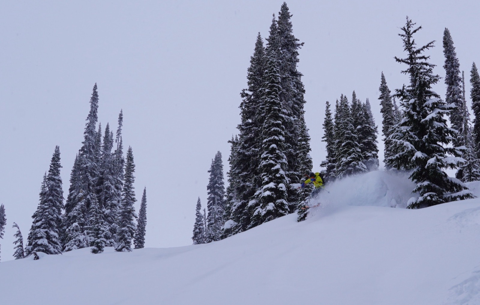 asulkan_rogers_pass - 62.jpg
